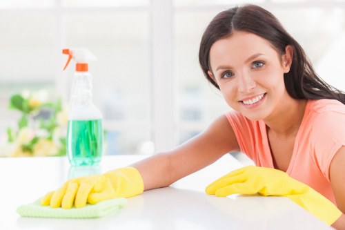 Professional upholstery cleaning for a sofa in an N5 home
