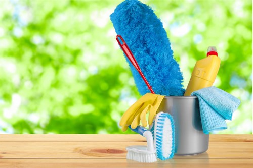 Professional carpet cleaning team presenting quality service in N5