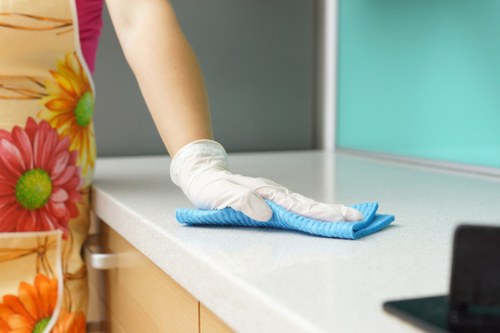 Domestic cleaning service for a local home in N5