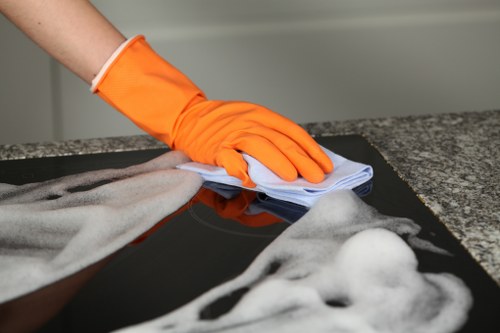Oven cleaning service for residential and commercial customers in N5