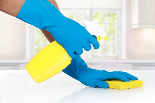 Detailed carpet care and stain treatment for N5 properties