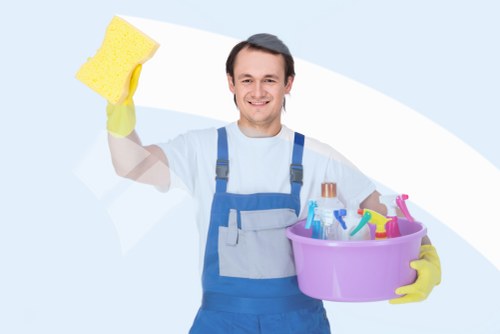 Deep carpet cleaning process for homes and businesses in N5