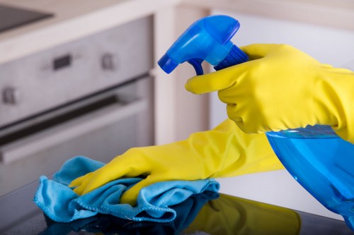 Local cleaner servicing flats and homes near Highbury