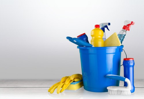 Professional window cleaning service for homes in N5