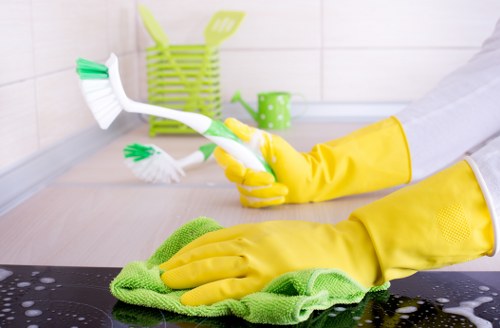 Deep cleaning upholstery in a local N5 property