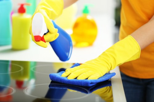 Carpet cleaning N5 service improving indoor freshness and appearance