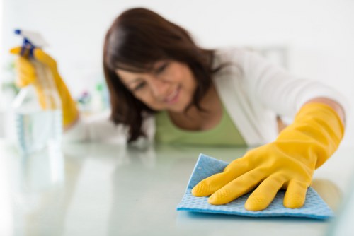Keyboard navigation focused on Carpetcleaning N5 service information