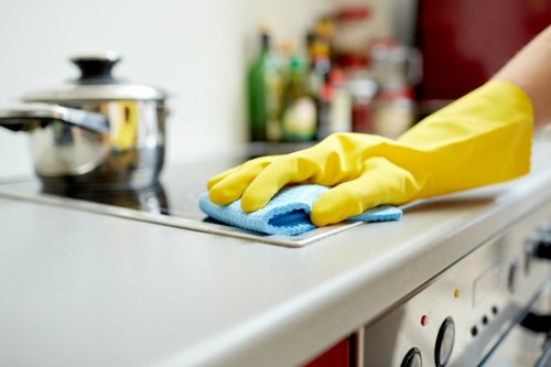 Cleaning team working in a North London property with access considerations