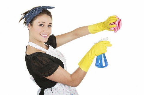 Kitchen deep cleaning during a move-out service in N5