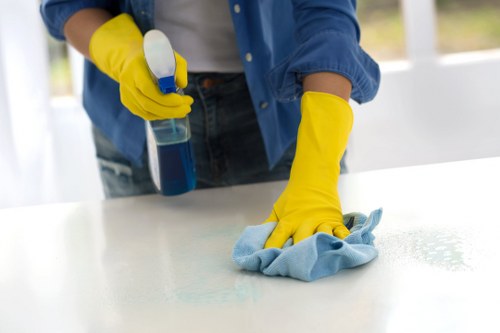 Professional cleaning tools for a local N5 property